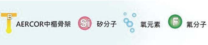 矽與氟聚合物