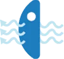高透氧