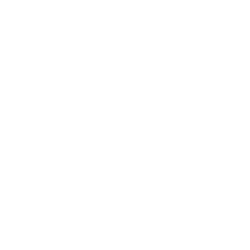 安全
