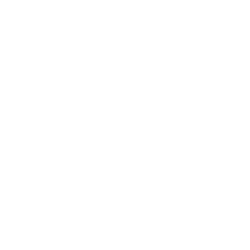 精準