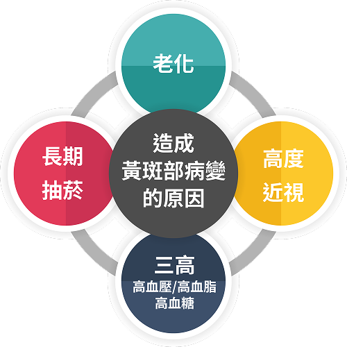 黃斑部病的成因