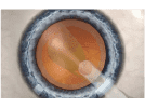 STEP6